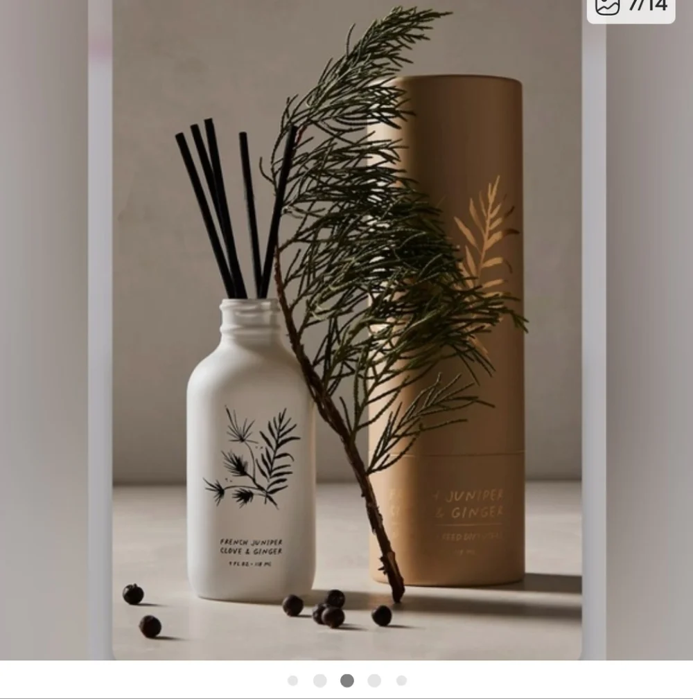 Free people Apothecary Reed diffuser French juniper Clove and Ginger NWT